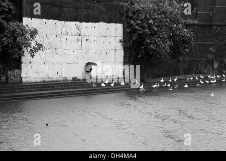 Muro Bianco e Banganga serbatoio acqua anatre Walkeshwar Mumbai India Maharashtra Foto Stock