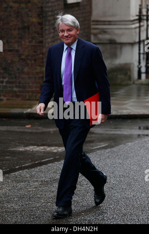 Andrea Mitchell MP, Segretario di Stato per lo Sviluppo Internazionale arriva a Downing Street per una riunione del gabinetto del 17 aprile Foto Stock