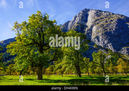 Grosser Ahornboden, montagne Karwendel, Tirolo, Austria, Europa Foto Stock