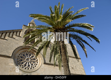 Esglesia de Sant Jaume in Alcudia Foto Stock