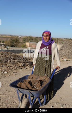 Donna da Sultantepe sulla pianura mesopotamiana, sito della scoperta di alcune Epic di Gilgamesh compresse cuneiformi, se Turchia Foto Stock