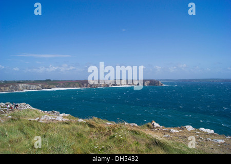 Il bretone il paesaggio costiero, Camaret-sur-Mer, Bretagna, Francia, Europa Foto Stock