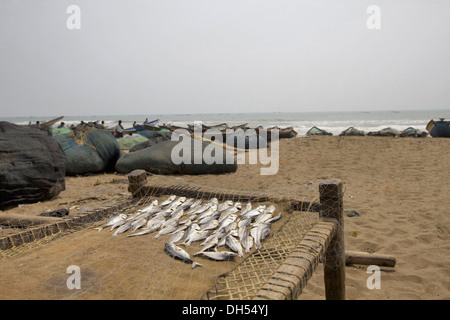 Le reti da pesca e barche sulla spiaggia in Orissa, India Foto Stock