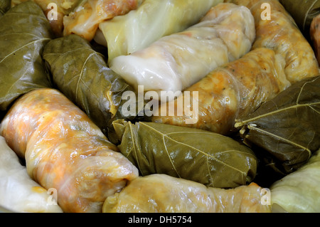 Sarmale, cavolo ripieno, Cucina Rumena Foto Stock