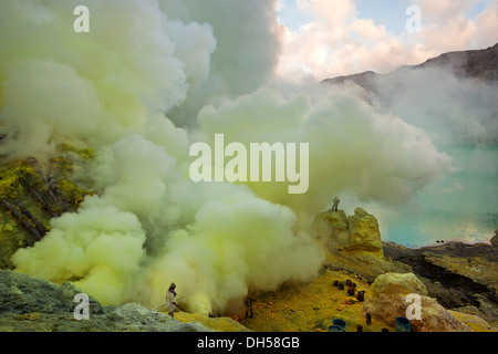 Miniere di zolfo Zolfo di data mining al vulcano Ijen, Kawah ljen, Eastern Java, Java, Indonesia Foto Stock