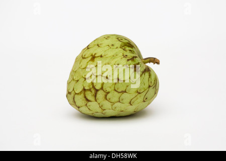 Cherimoya. Un singolo anone su uno sfondo bianco. Foto Stock