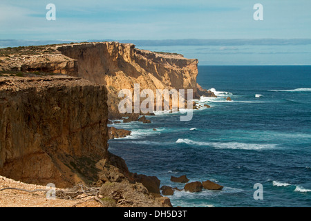 Alte scogliere e le acque turchesi dell'oceano meridionale vicino al punto Labatt colonia di foche sulla penisola di Eyre South Australia Foto Stock