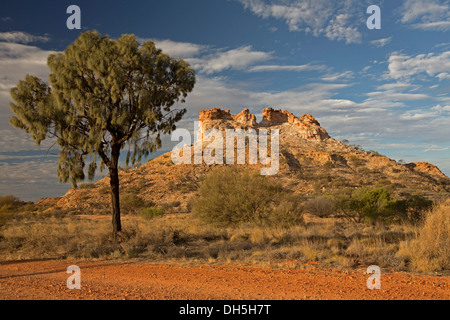 Outback australiano paesaggio dominato da un enorme formazione di arenaria Castle Rock e Desert Oak tree nella camera di riserva del montante di Territorio del Nord Foto Stock