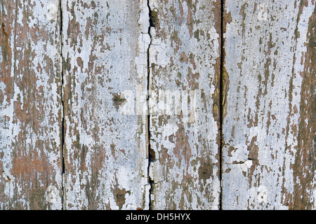 Full frame dettaglio astratta di un fatiscente facciata in legno con sfald vernice e fessure Foto Stock