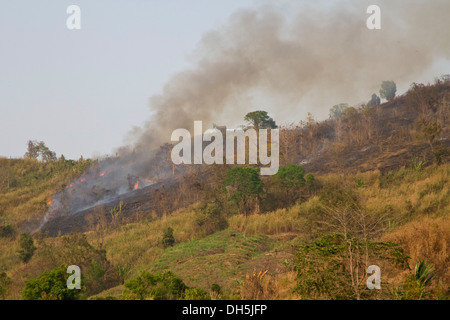 Taglio-e-scottatura agricoltura, drifting fumo sopra una collina, Boga Lago, Chittagong Hill Tracts, Ruma Bazar, Bangladesh Asia del Sud Foto Stock