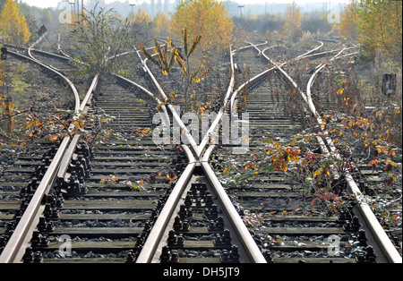 I binari ferroviari, abbandonato cantiere di smistamento in Duisburg Wedau, una devastazione industriale nella zona della Ruhr, Renania settentrionale-Vestfalia Foto Stock