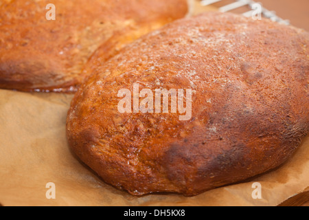 Appena fatto pane il raffreddamento Foto Stock