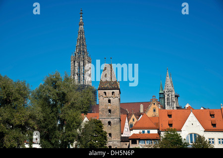 Vista da Neu-Ulm in Baviera sul Danubio a Ulm con la cattedrale e la torre Metzgerturm, Svevia, Baden-Wuerttemberg Foto Stock