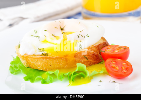 Uovo affogato con aneto su pane Foto Stock