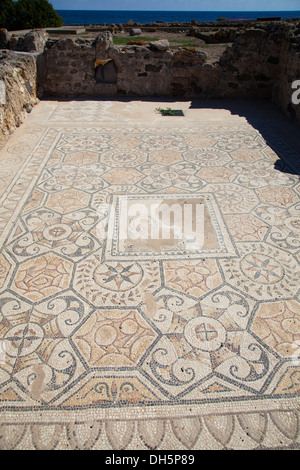 Rovine di Nora pavimento a mosaico nel sud della Sardegna Foto Stock