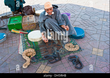 Il serpente incantatore con la sua serpenti nel Djemaa el Fna, quadrato dell'impiccato, Marrakech, Marocco, Africa Foto Stock