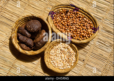 La preparazione di olio di argan, dadi di argan, kernel e residui utilizzati come mangimi per animali, in cesti di vimini, Anti-Altas o meno Atlas Foto Stock