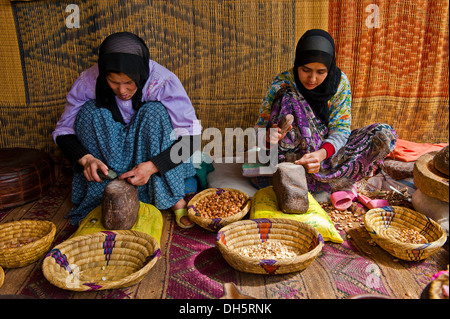 Donne berbere apertura dadi argan con rocce, per arrivare al kernel per la preparazione di olio di argan, Anti-Atlas o meno Atlas Foto Stock