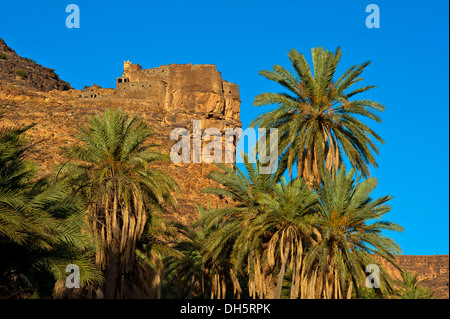 Agadir Aguelluy, castello fortificato su una rupe, palme da dattero (Phoenix) anteriore, Amtoudi, Anti-Atlas o minore Atlas mountain range Foto Stock