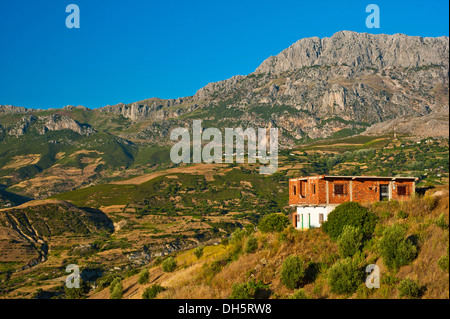 Tipico paesaggio di montagna con casa, campi piccoli e olivi nel Rif o Riff Monti settentrionali del Marocco Marocco Foto Stock