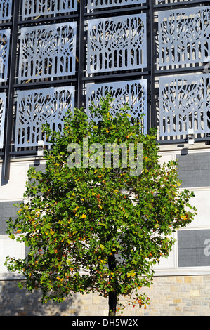 Vista esterna del Drake Circus Shopping Centre in Plymouth, Devon, Inghilterra, Regno Unito Foto Stock