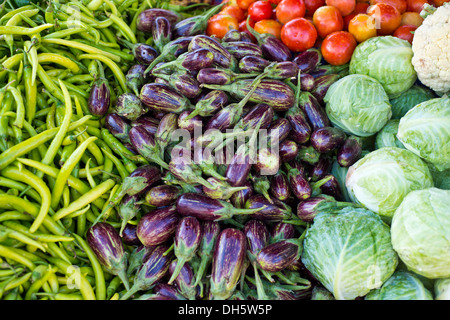 Melanzane, peperoni, pomodori e il cavolo nero, verdure miste esposti per la vendita, Jaisalmer, Rajasthan, India Foto Stock