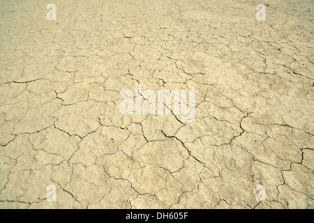 La mancanza di acqua, crepe di fango in un essiccato fino waterhole, Factory Butte OHV speciale sull'Autostrada area veicolo, Utah, sud-ovest Foto Stock