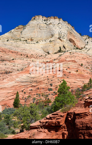 Oriente tempio, il Parco Nazionale di Zion, Utah, Stati Uniti d'America, STATI UNITI D'AMERICA Foto Stock