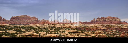 Riprese panoramiche, pinnacoli in Chesler Park, gli aghi District, il Parco Nazionale di Canyonlands, Utah, Stati Uniti d'America, STATI UNITI D'AMERICA Foto Stock