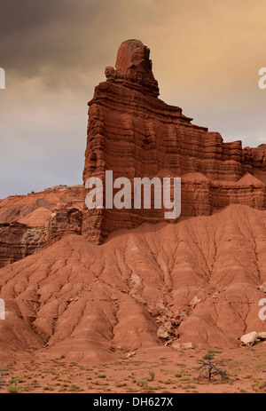 La fibbia del Waterpocket Fold, Scenic Drive Road, Capitol Reef National Park nello Utah, Stati Uniti d'America Southwestern, STATI UNITI D'AMERICA Foto Stock