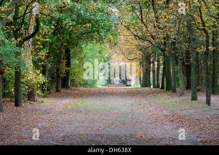 Collezione autunno foresta gildehaus in Germania Foto Stock