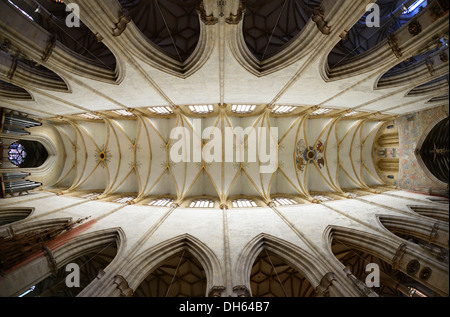 Vaulting, vista del soffitto a volta, navata, interno, Ulm Minster, Ulm, Baden-Wuerttemberg Foto Stock