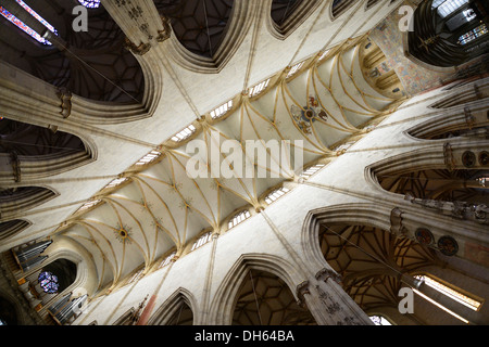 Vaulting, vista del soffitto a volta, navata, interno, Ulm Minster, Ulm, Baden-Wuerttemberg Foto Stock