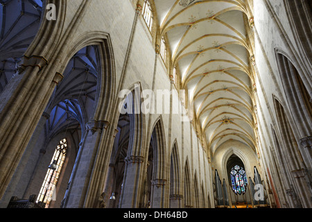 Vista del soffitto a volta della navata traliccio vault, cielo stellato nel corridoio laterale, interno, Ulm Minster, Ulm Foto Stock