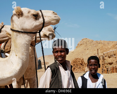 I beduini con i cammelli, deserto popoli dall Egitto incontro di Wadi El Gamal National Park, Valle di cammelli per la Foto Stock