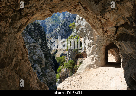 Sentiero escursionistico a rio Gola di Cares, calcare massiccio del Picos de Europa, escursionisti, Parco Nazionale Picos de Europa Foto Stock