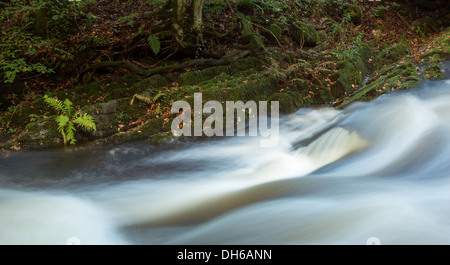 Il fiume Okement come fluisce attraverso l'Est valle Okement Parco Nazionale di Dartmoor Devon UK Foto Stock