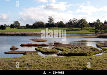 Pool di Flash, Upton Warren Riserva Naturale, Worcestershire, England, Regno Unito Foto Stock