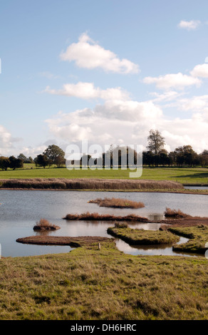 Pool di Flash, Upton Warren Riserva Naturale, Worcestershire, England, Regno Unito Foto Stock