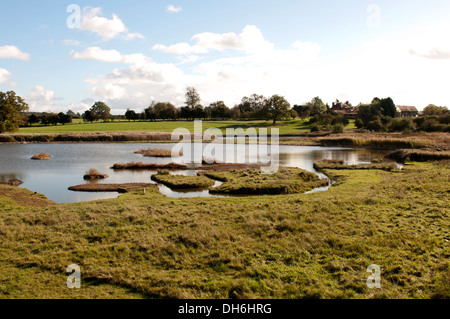 Pool di Flash, Upton Warren Riserva Naturale, Worcestershire, England, Regno Unito Foto Stock