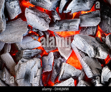 combustione del carbone Foto Stock