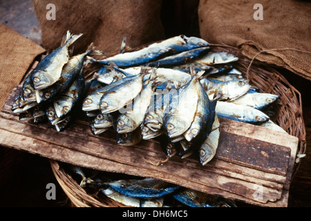 Pesce fresco per la vendita nel mercato vicino a benaulim Goa in India Foto Stock