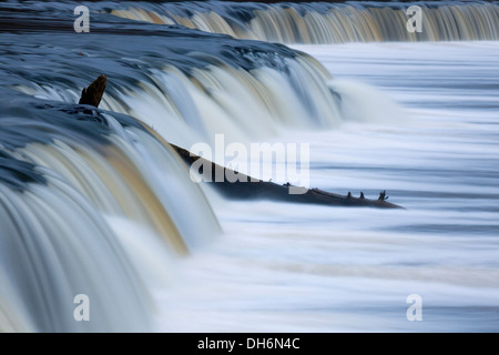Ventas rumba cascata sul fiume Venta in Kuldiga, Lettonia Foto Stock