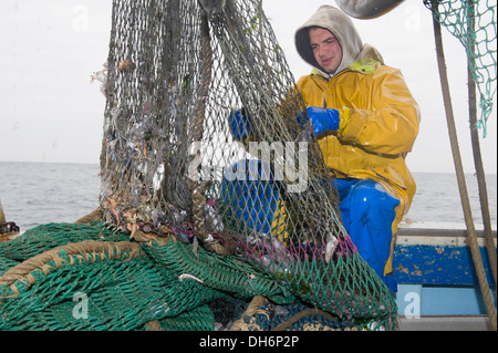 Fisherman rimozione di calamari da le maglie di una rete da traino Foto Stock