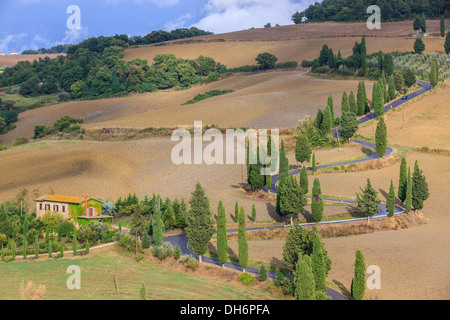 Winding Road vicino a Monticchiello con i famosi cipressi nel cuore della Toscana, Italia Foto Stock