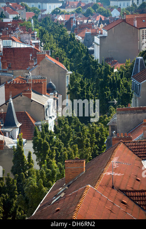 Vista aerea del boulevard Carnot piantati con Acero (Acer sp.) La Vichy Allier Avergna Francia Europa Foto Stock