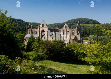 Tintern Abbey Monmouthshire Wye Valley AONB South East Wales UK Foto Stock