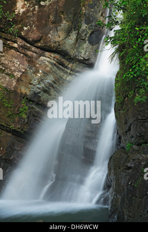 La Mina le cascate, Foresta Nazionale Caraibica (El Yunque), Puerto Rico Foto Stock