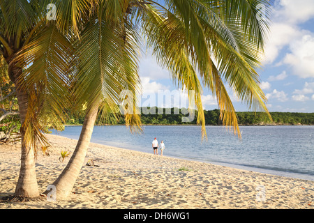 Palme e giovane camminando sulla spiaggia, Sombe (Sun Bay), Vieques, Puerto Rico Foto Stock