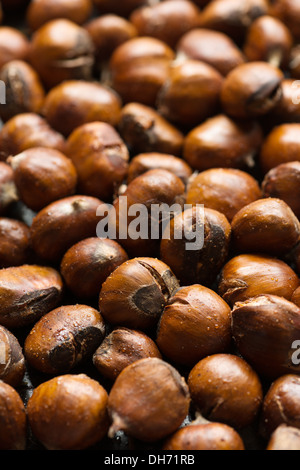 Sweet mature castagne arrosto frutta dal forno con dado lucido cappotti cotti e diviso dalla testa e cottura Foto Stock